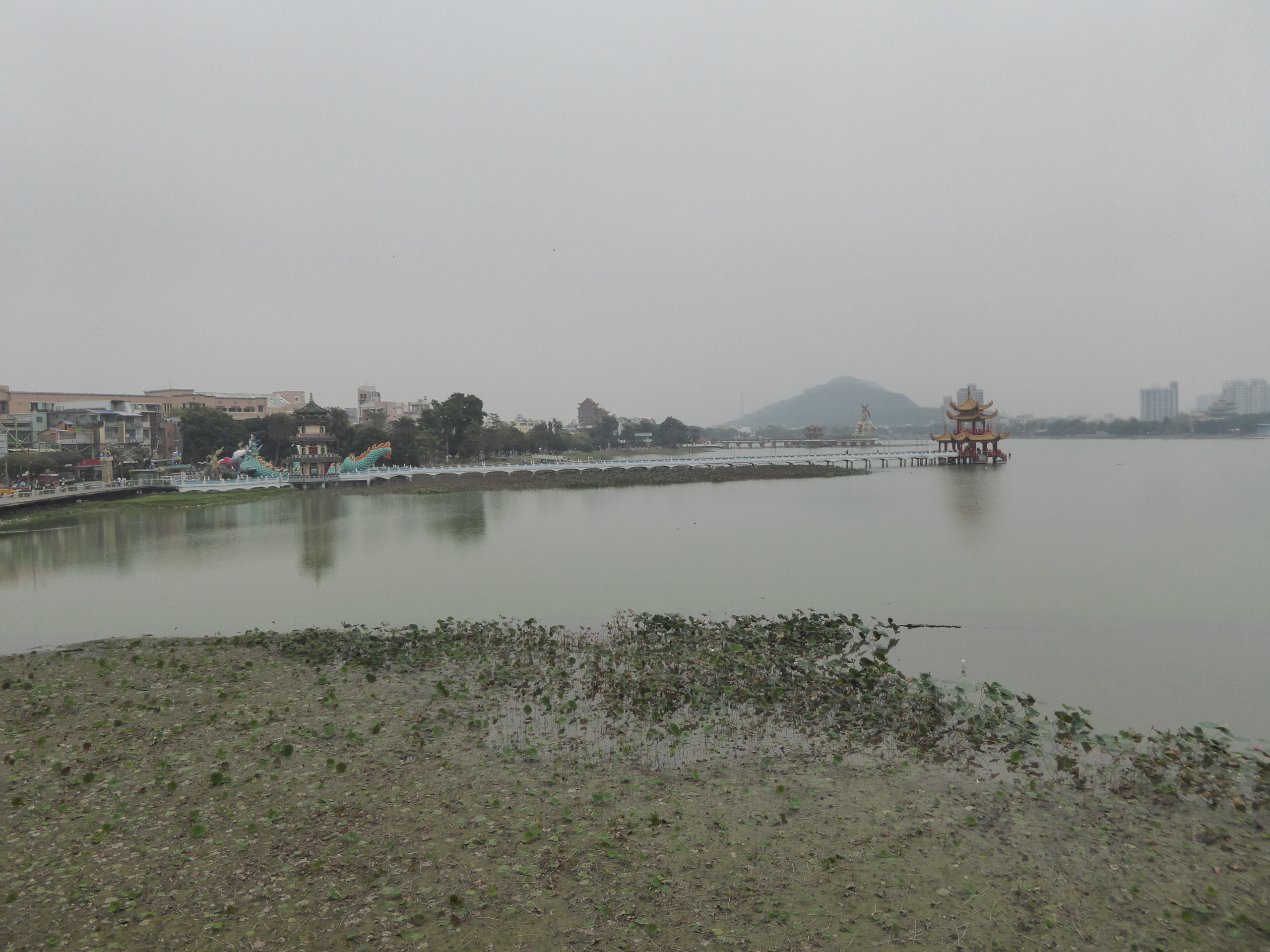 P1100449.JPG