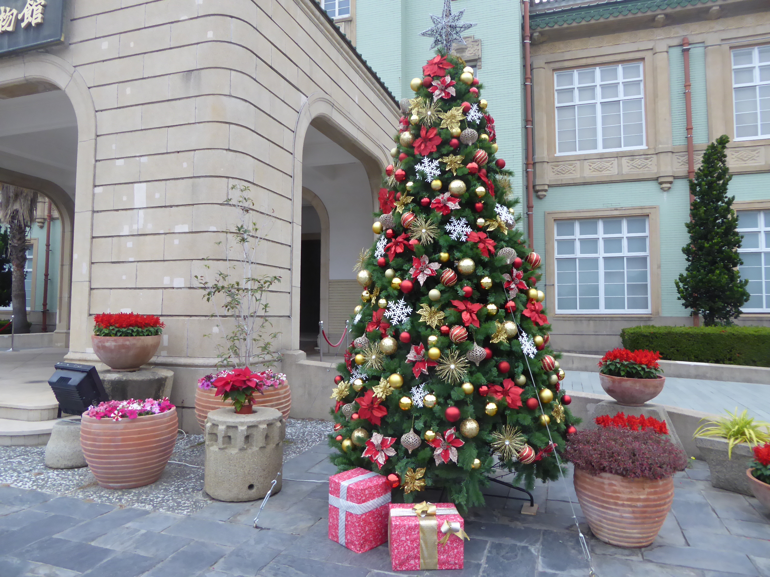 P1100478.JPG