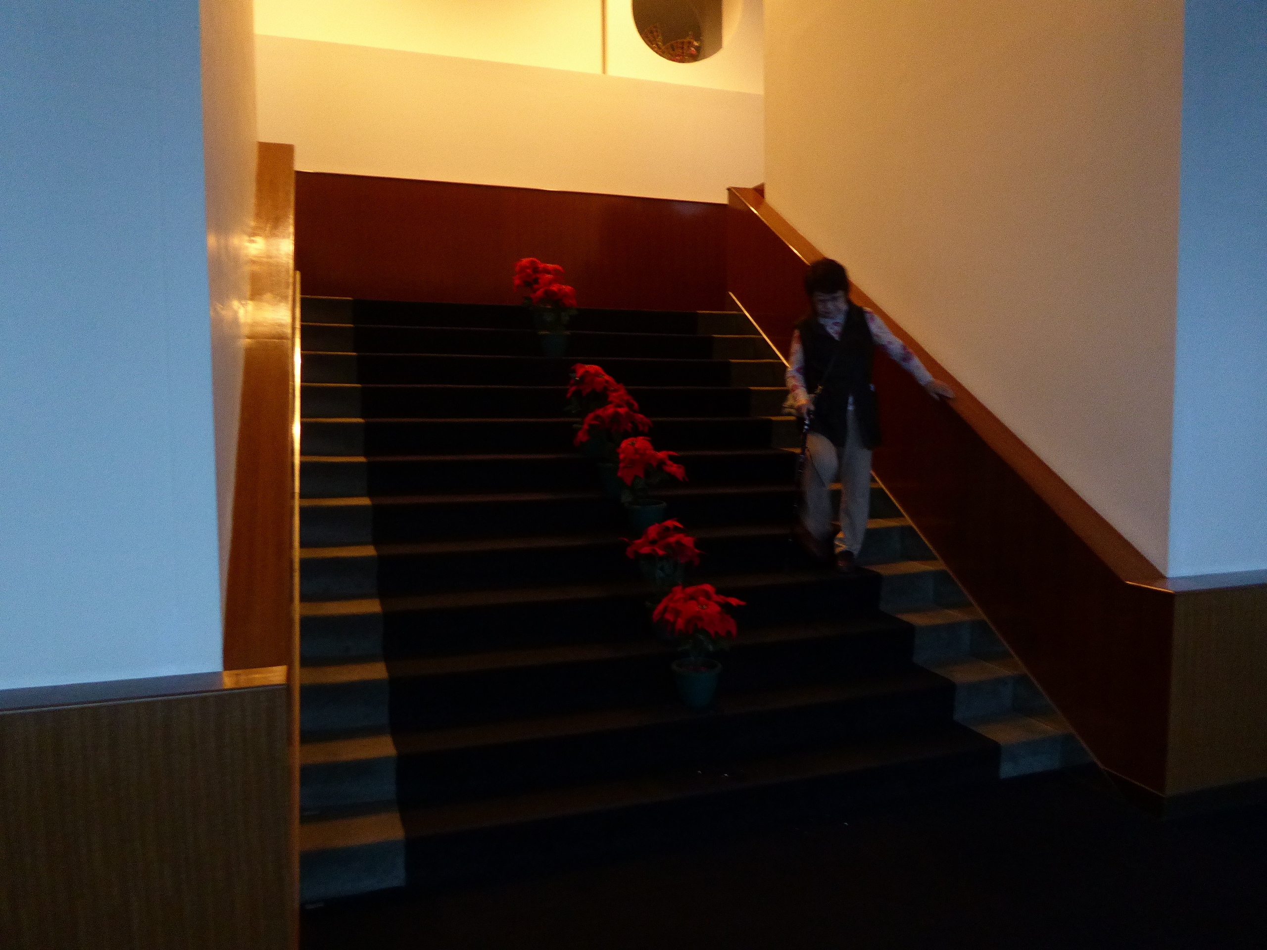 P1100482.JPG