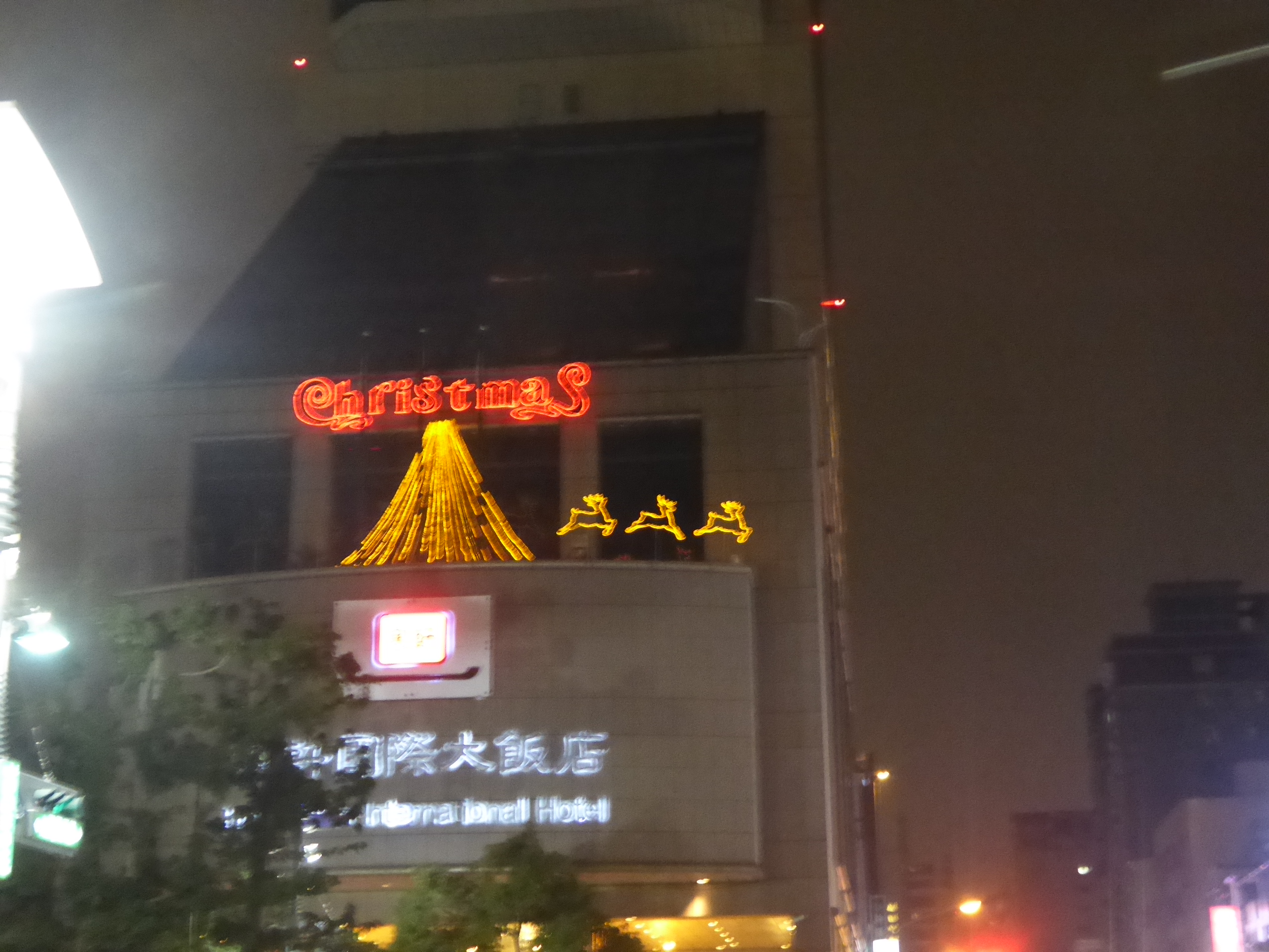 P1100498.JPG