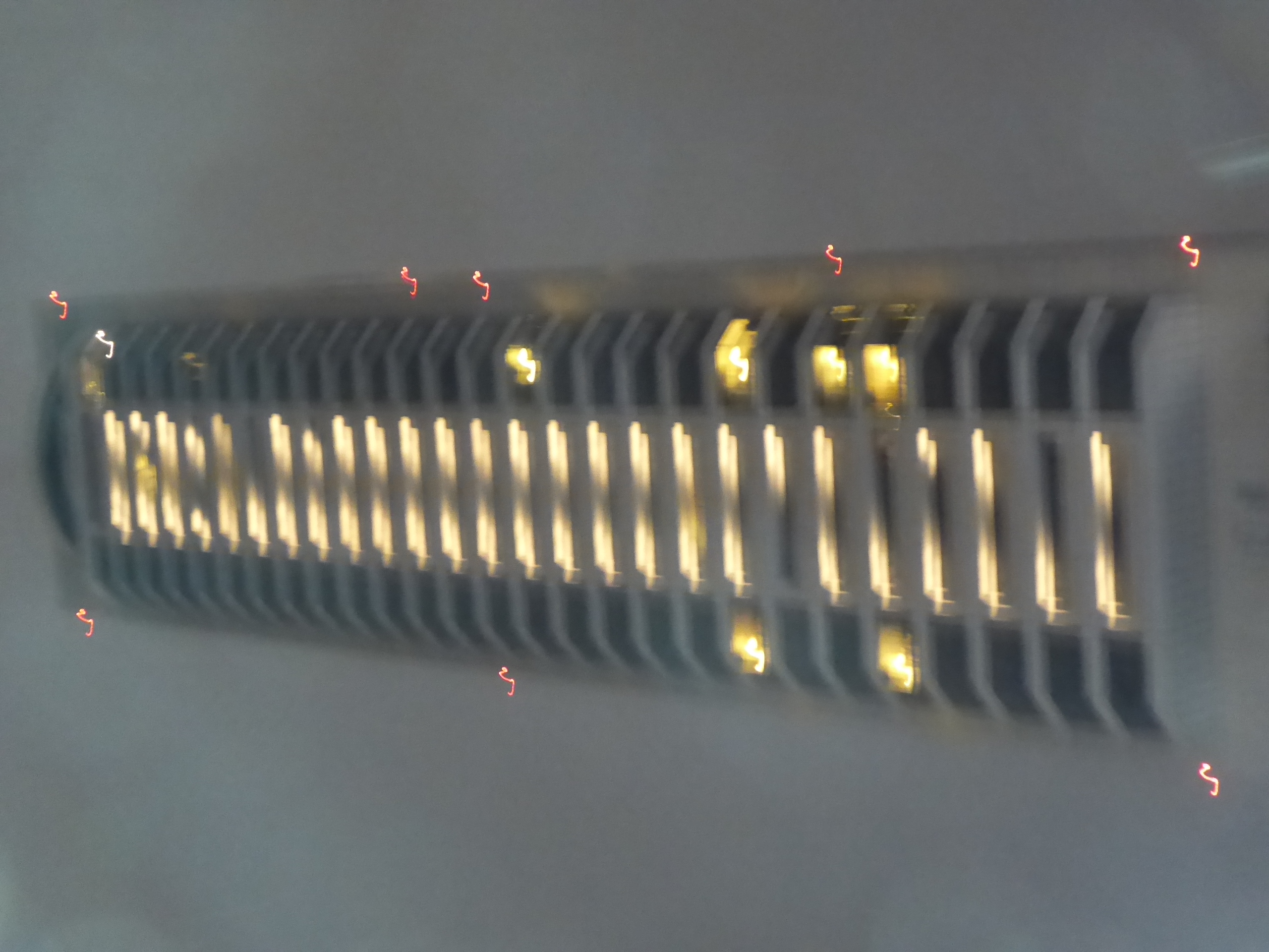 P1100499.JPG