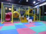 img0021.jpg