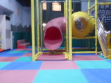 img0028.jpg