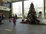 img0056.jpg