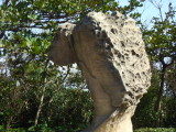 img0062.jpg