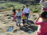 img0066.jpg