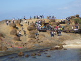 img0071.jpg