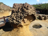 img0096.jpg