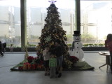 img0118.jpg