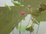 img0177.jpg