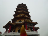 img0181.jpg