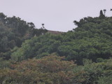 img0213.jpg