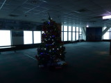 img0231.jpg