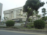 img0251.jpg