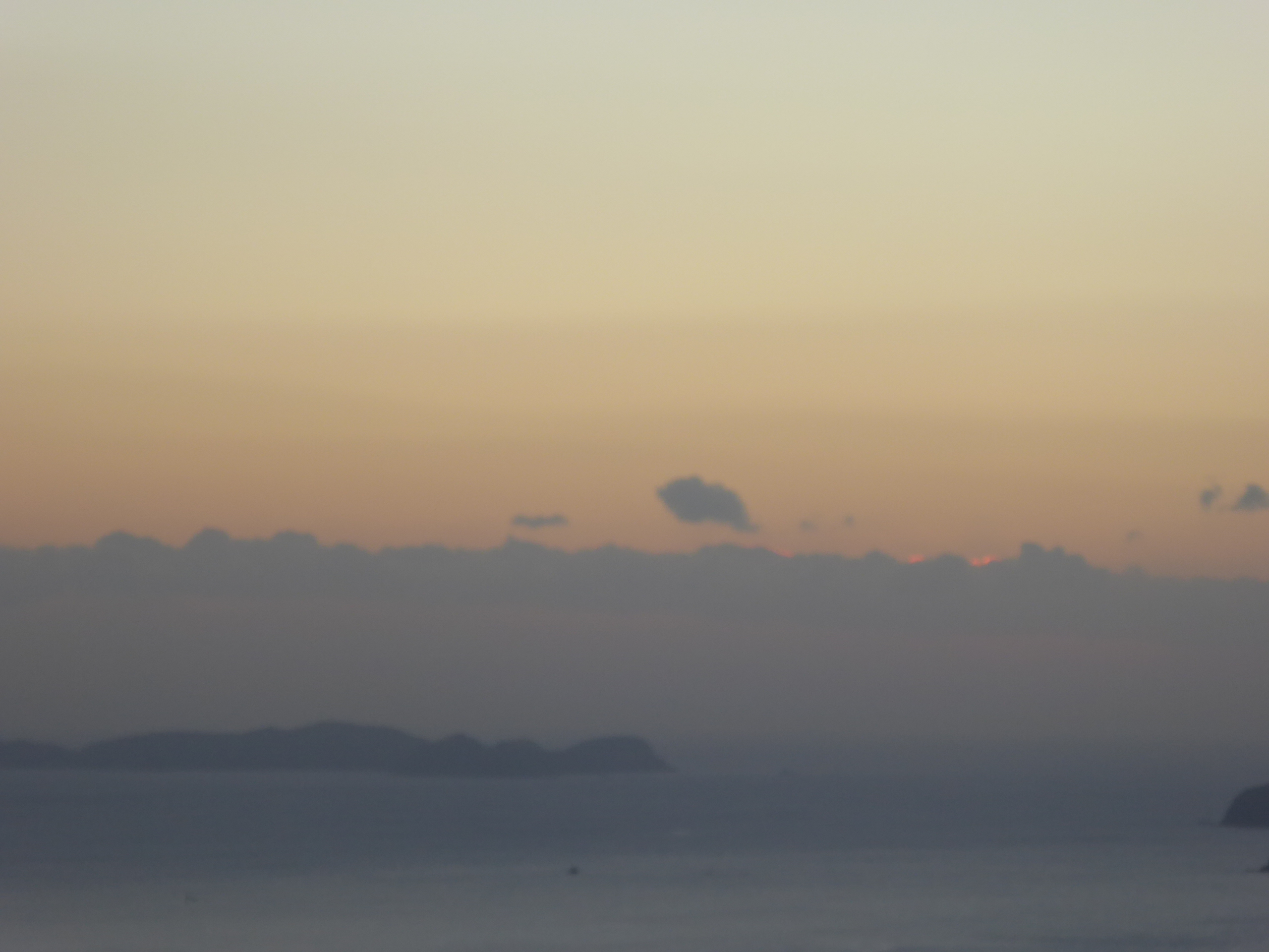 P1100565.JPG