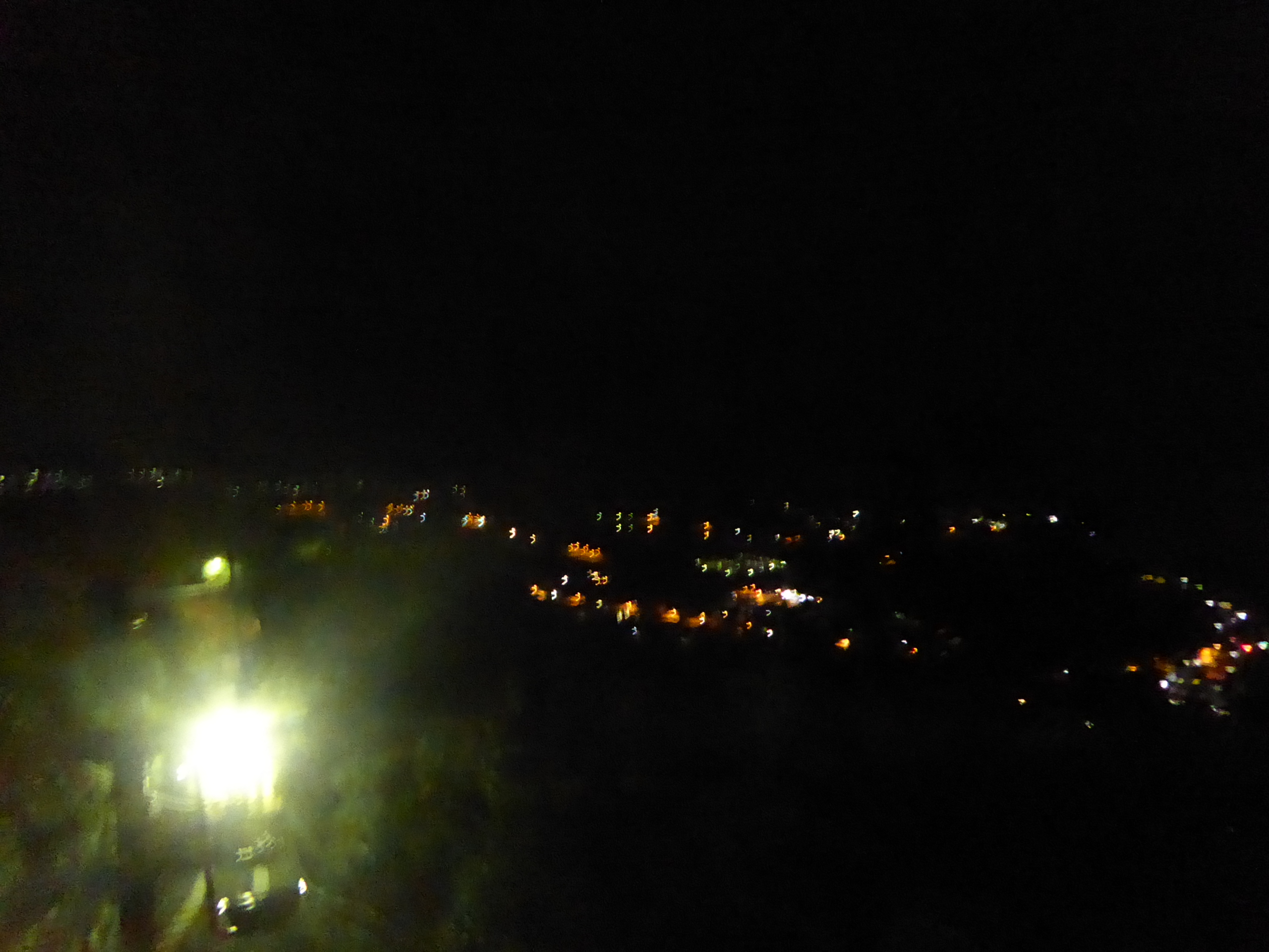 P1100554.JPG