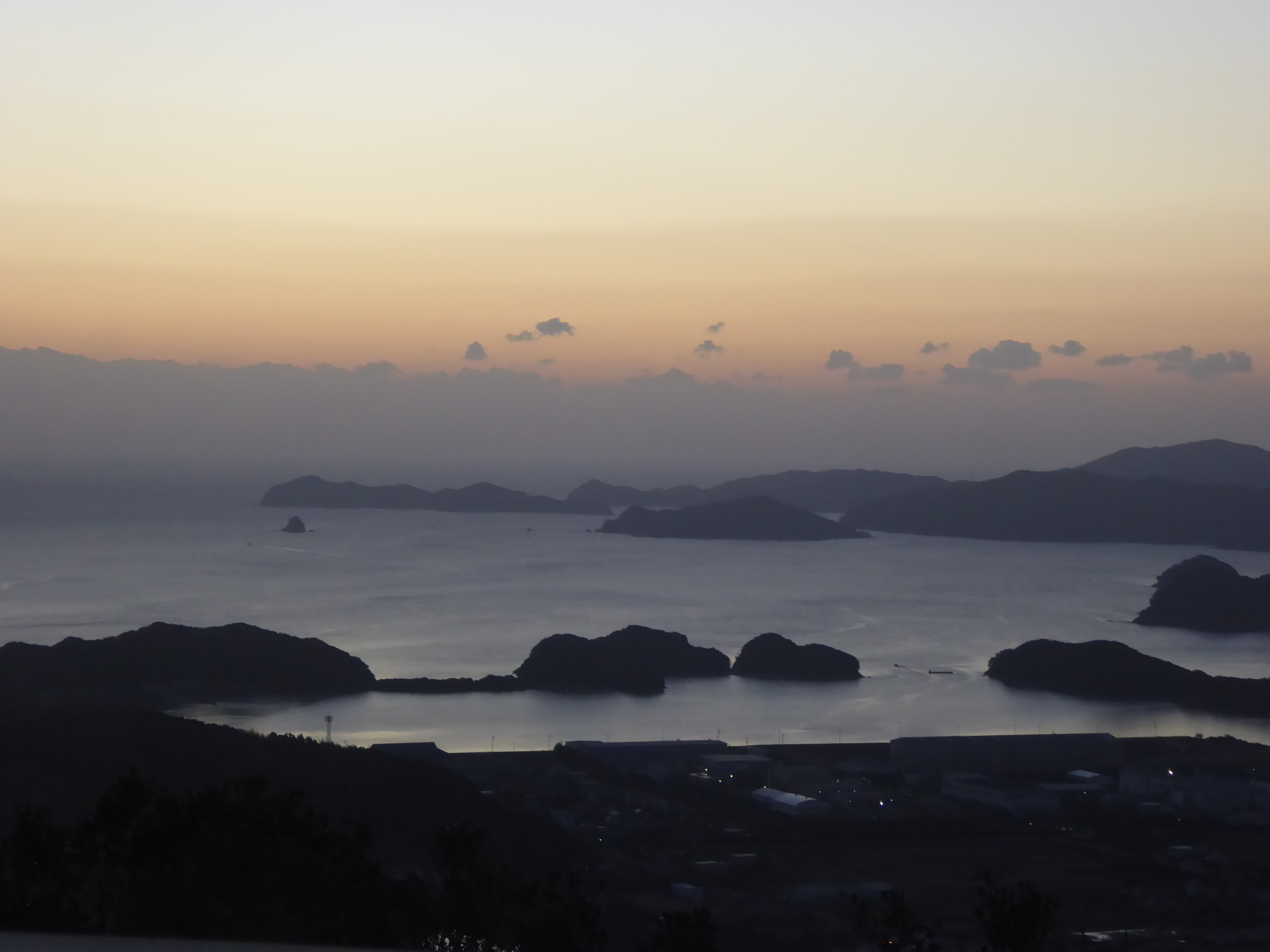 P1100563.JPG