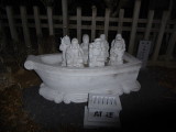 img0003.jpg