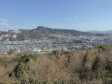 img0074.jpg