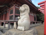 img0083.jpg