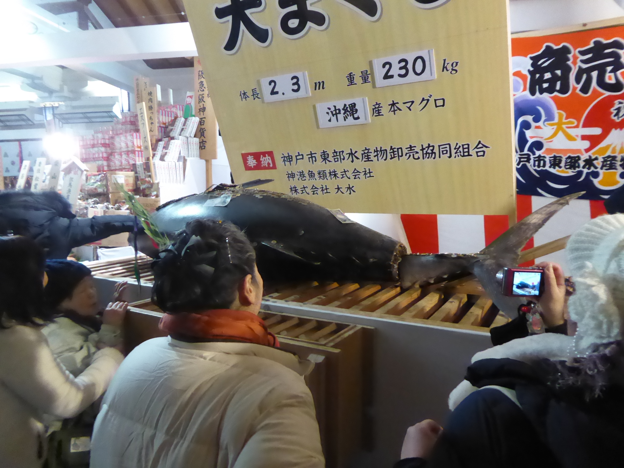 P1100763.JPG