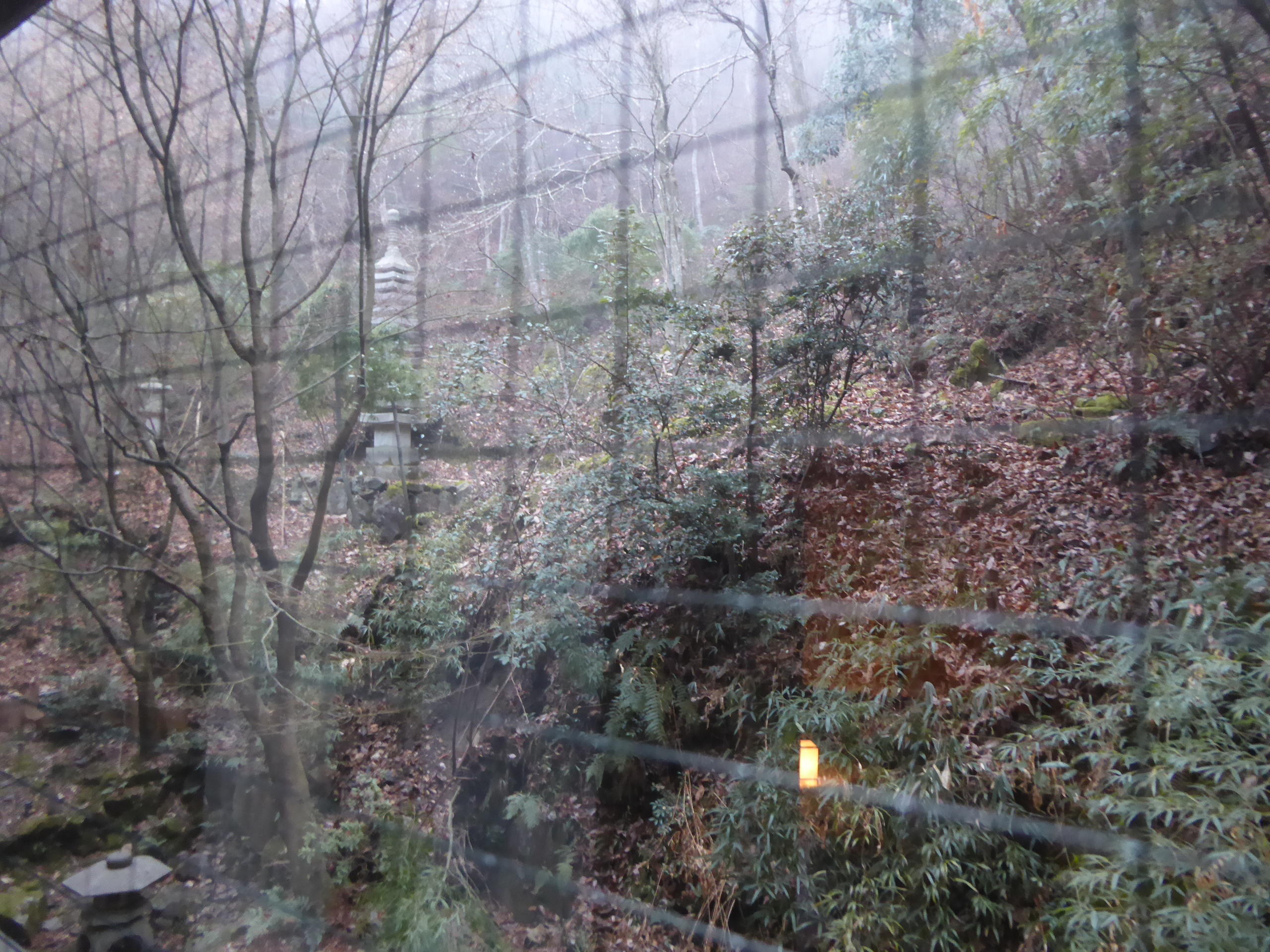 P1100902.JPG