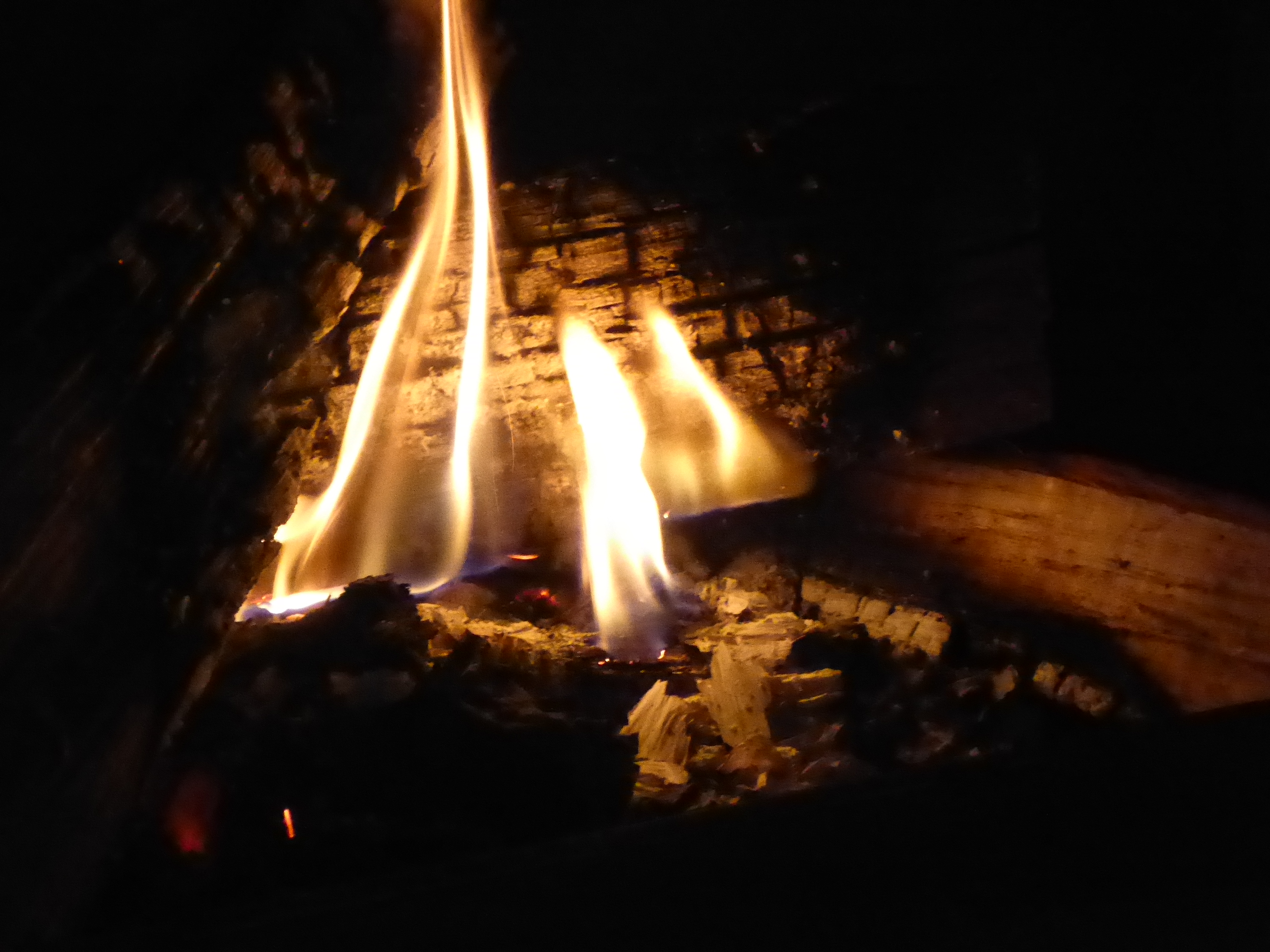 P1100926.JPG