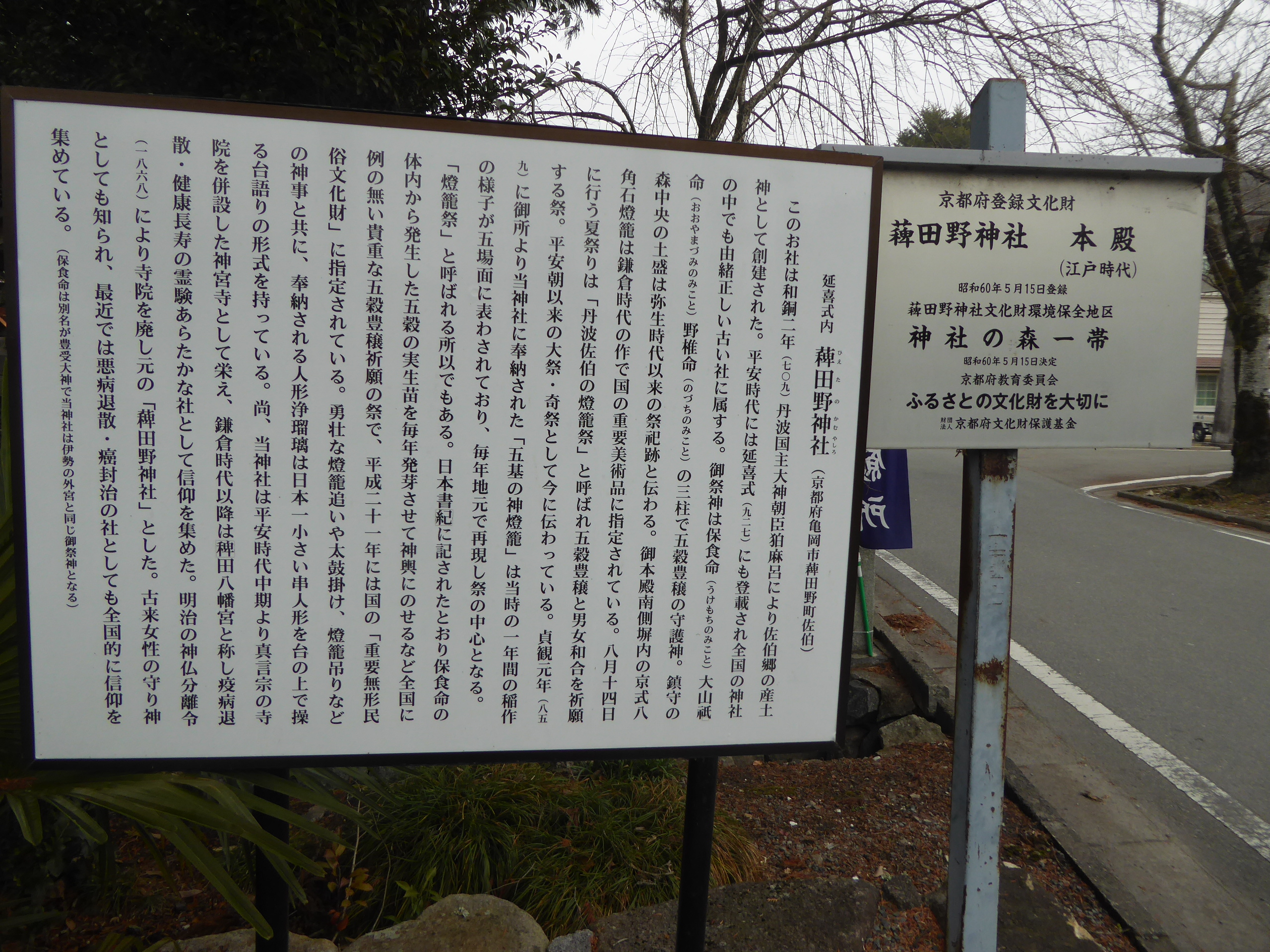 P1100933.JPG
