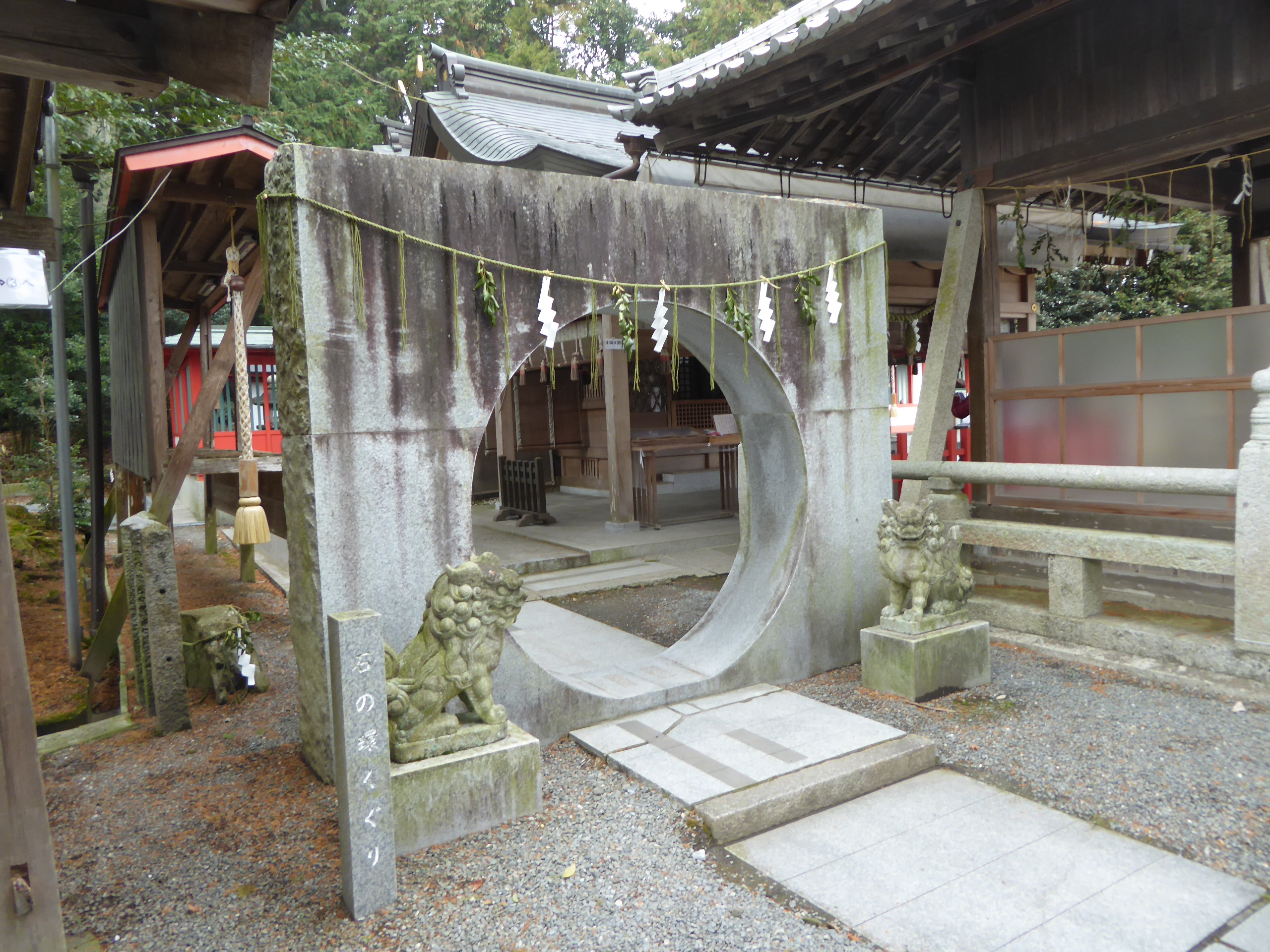 P1100934.JPG