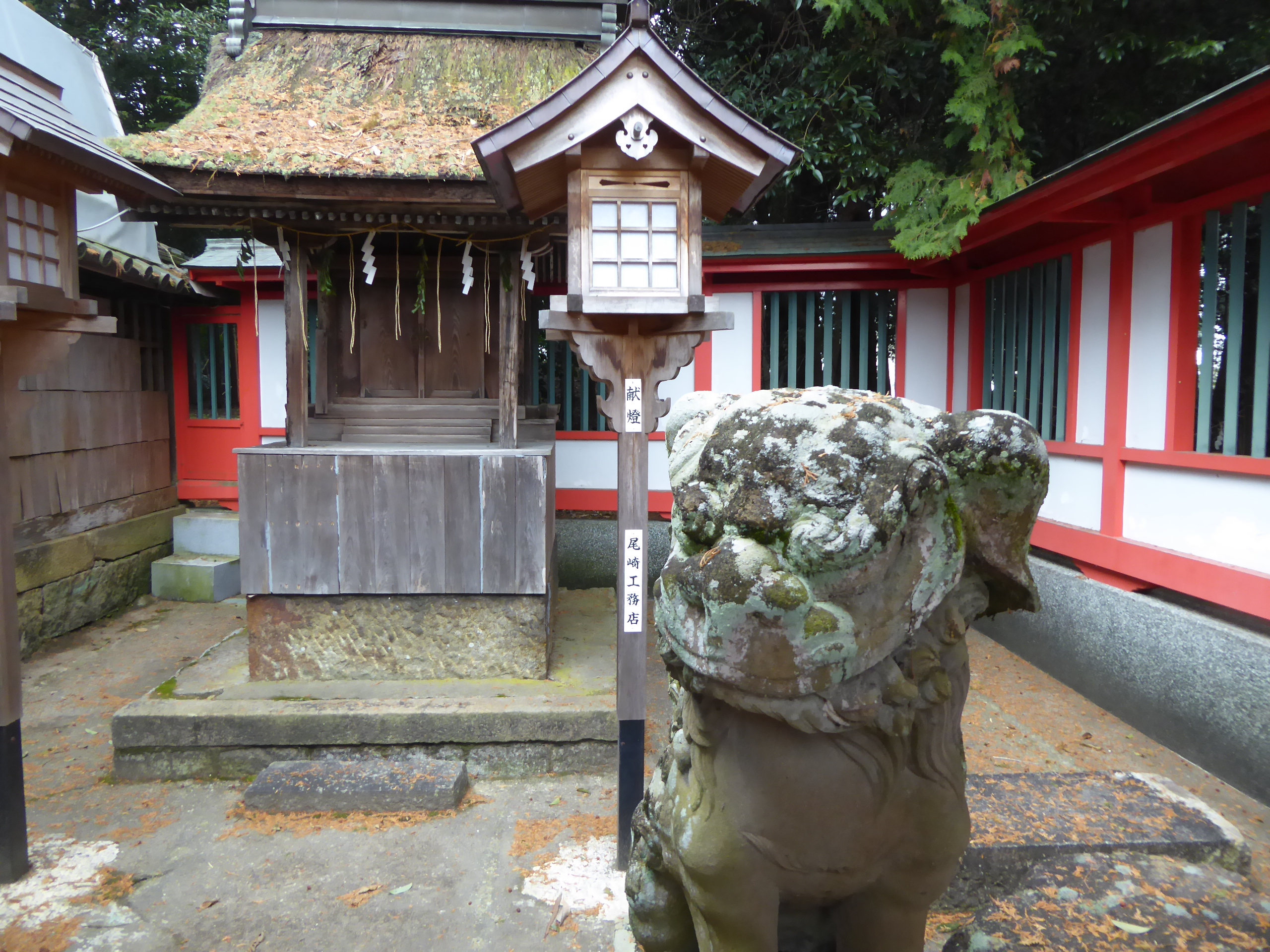 P1100938.JPG