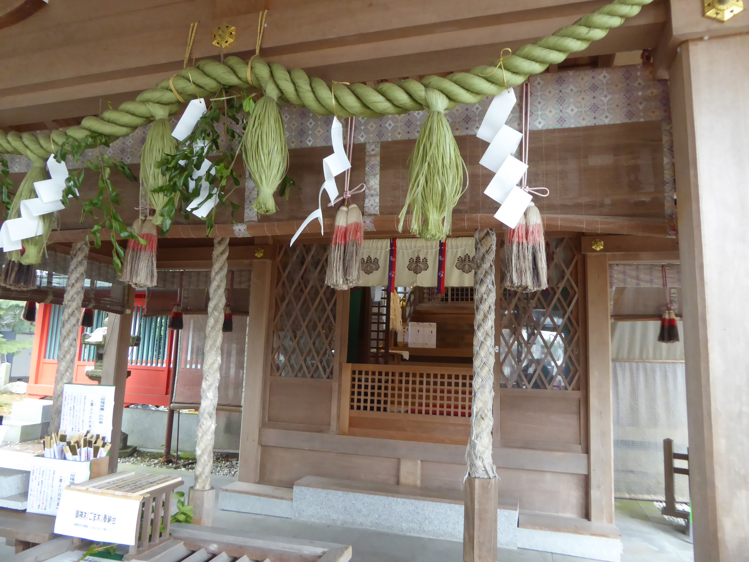 P1100939.JPG