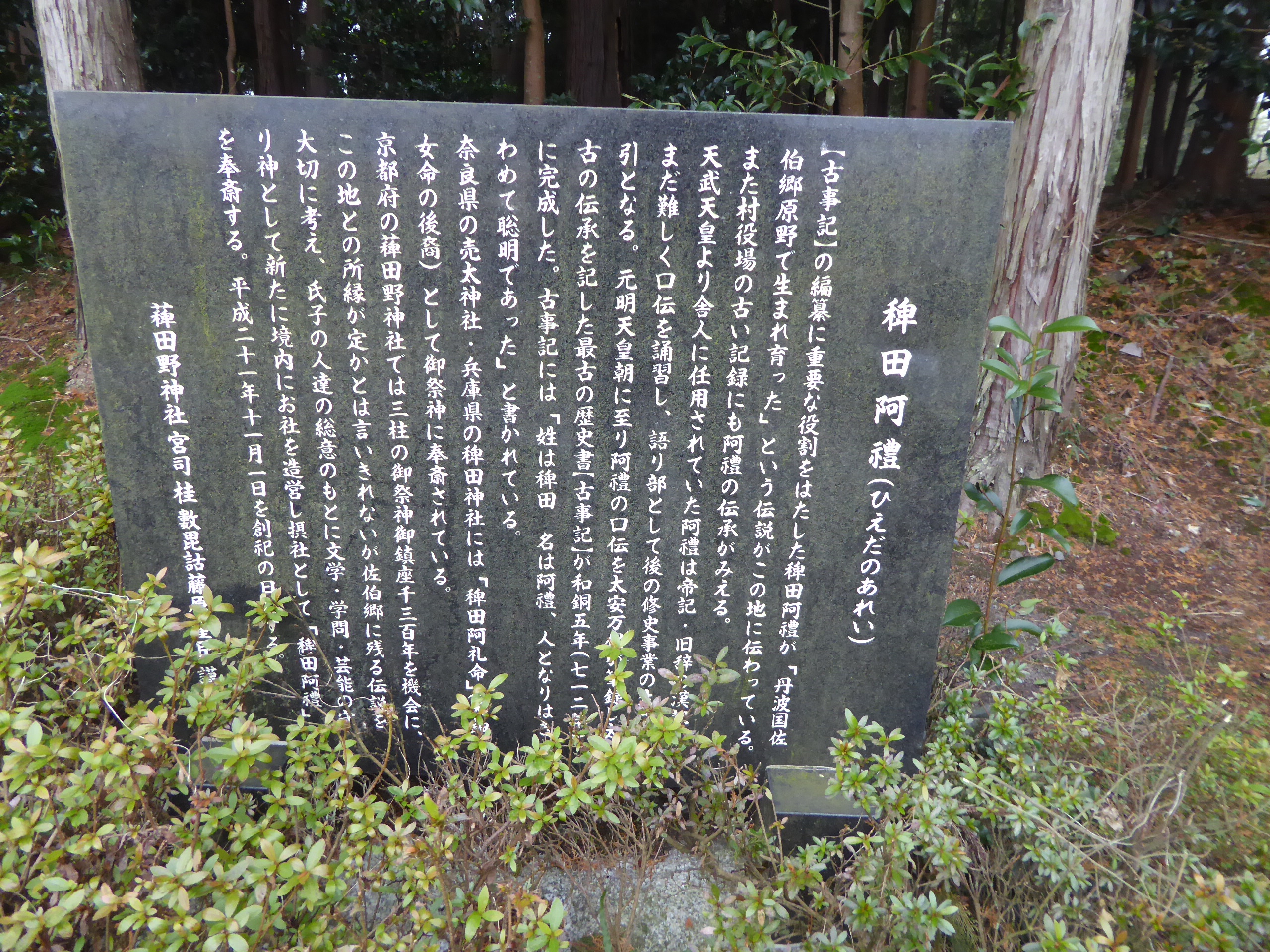 P1100946.JPG