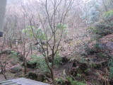 img0024.jpg