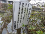 img0040.jpg