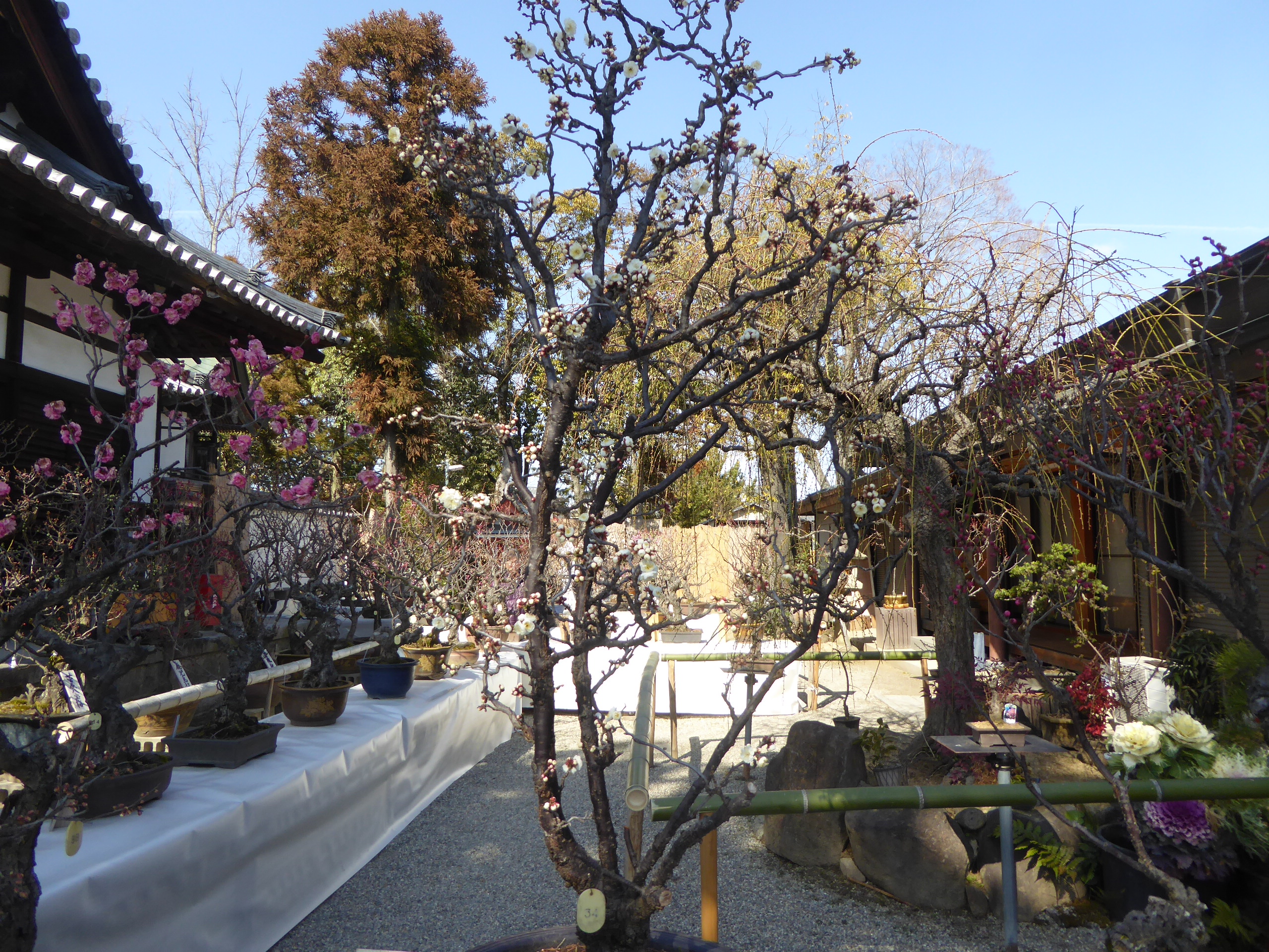 P1100953.JPG