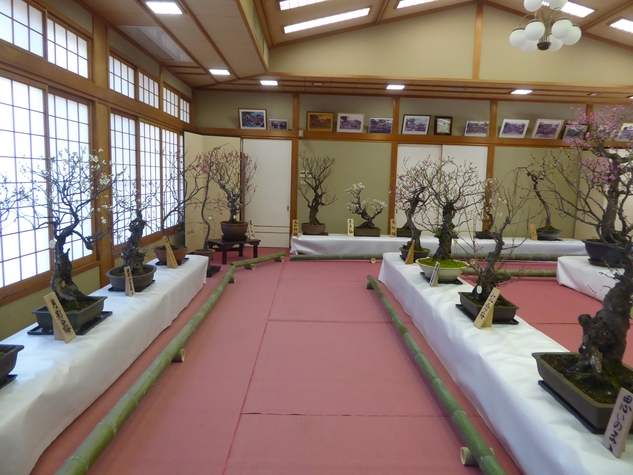 P1100971.JPG