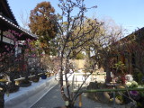 img0000.jpg