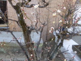 img0006.jpg