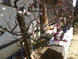 img0011.jpg