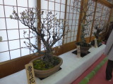 img0014.jpg