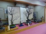 img0015.jpg