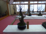 img0016.jpg