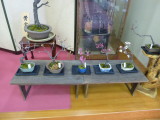 img0017.jpg