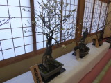 img0019.jpg