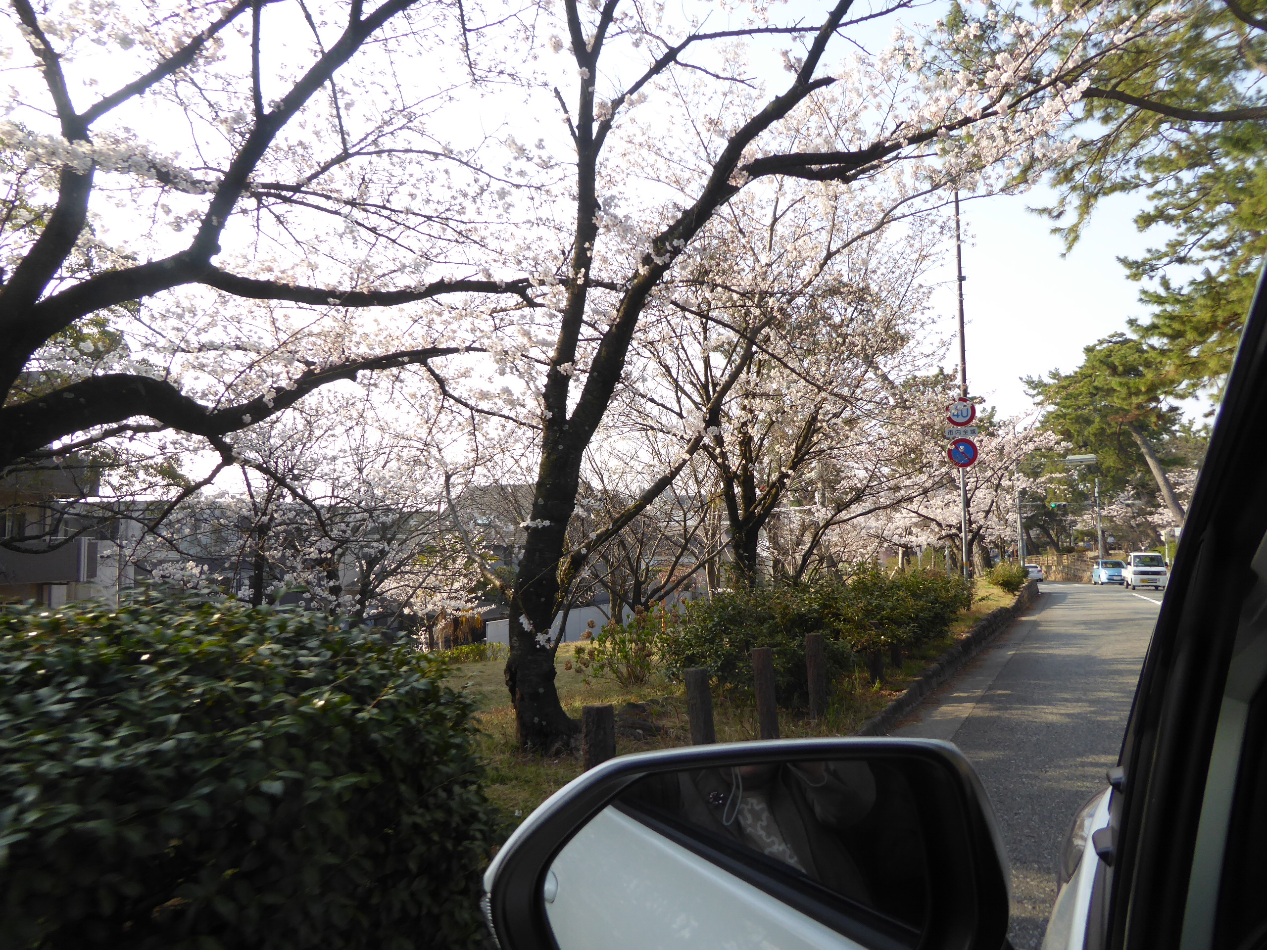 P1110196.JPG