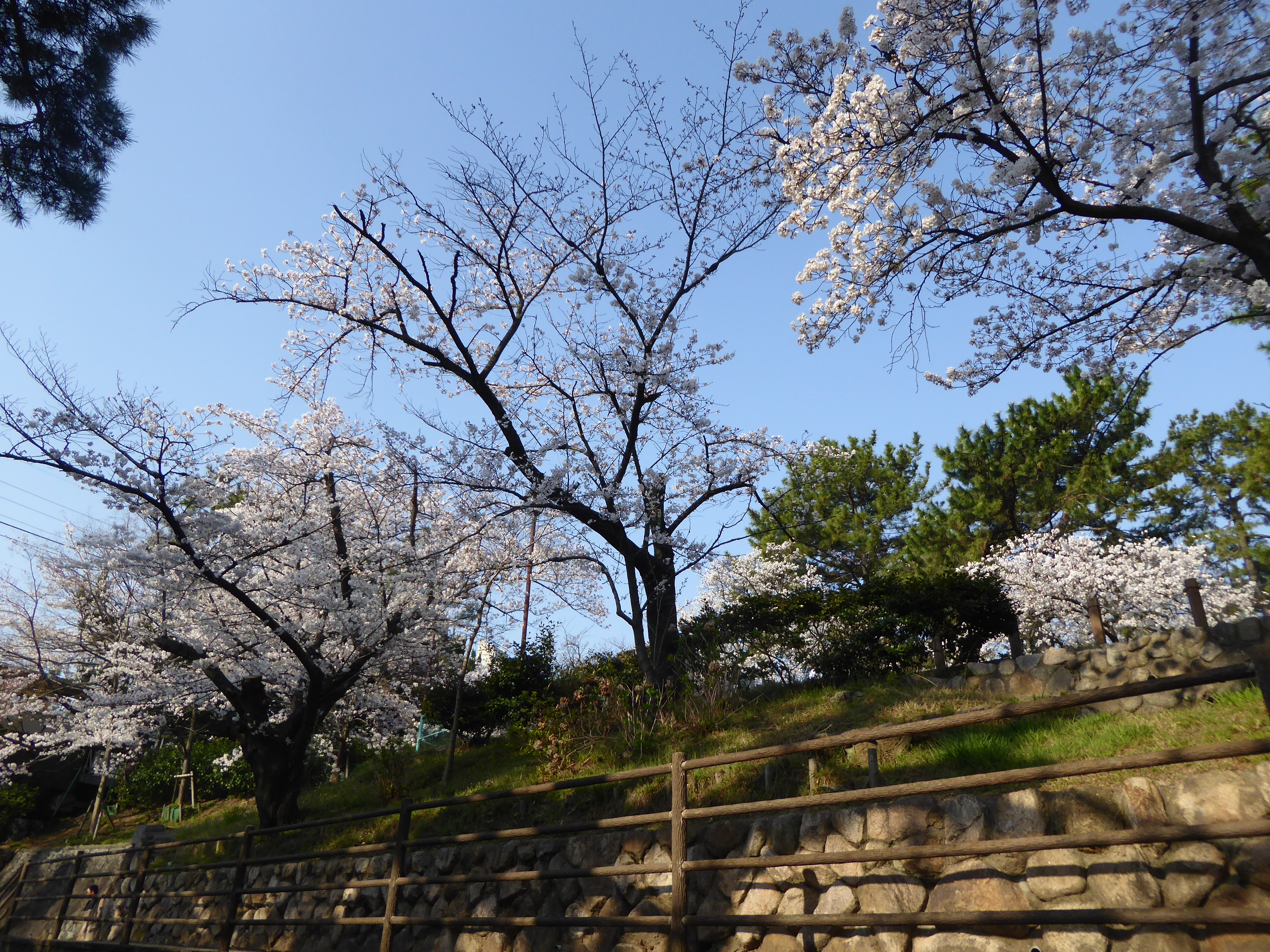 P1110199.JPG