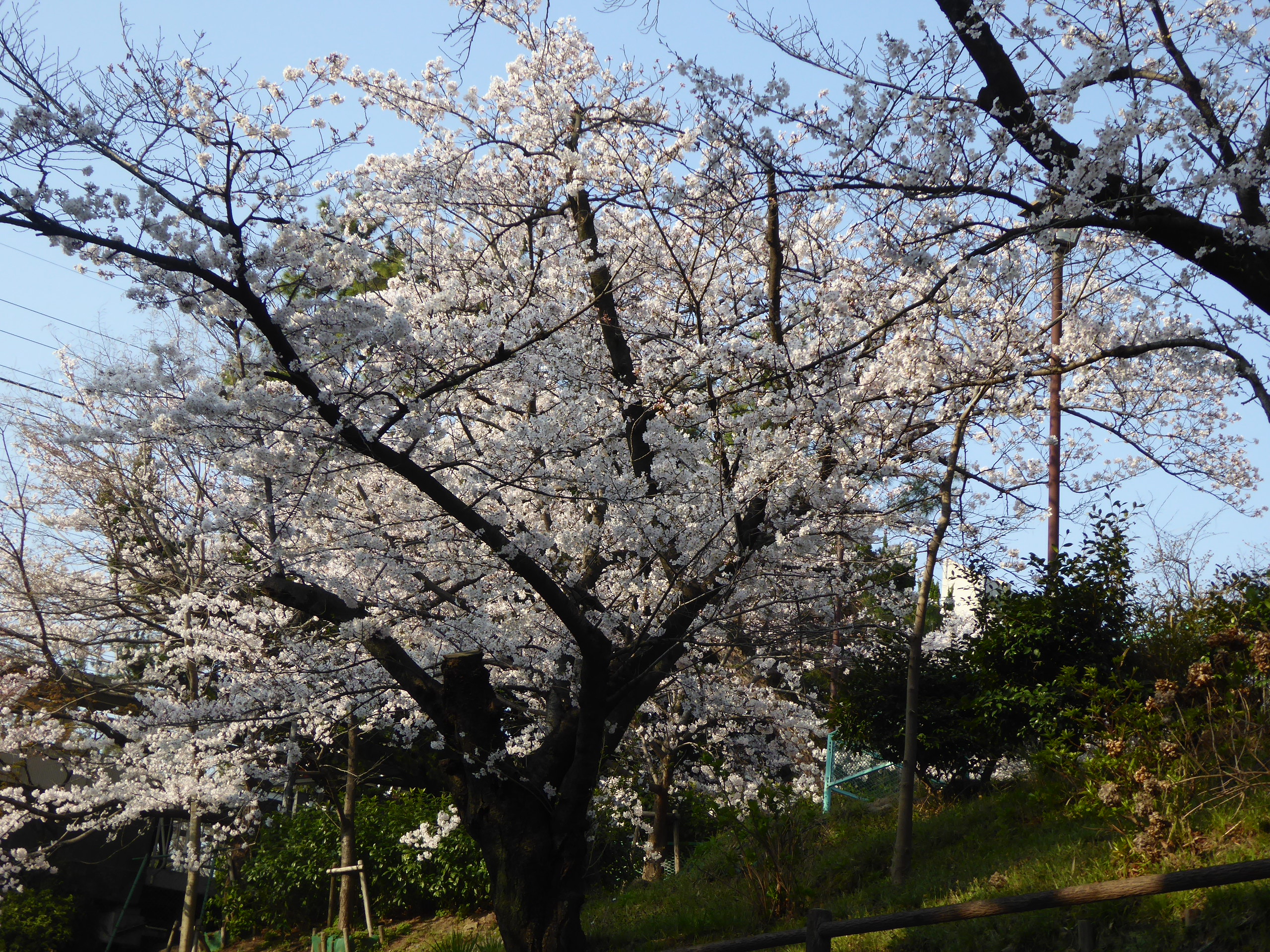 P1110200.JPG