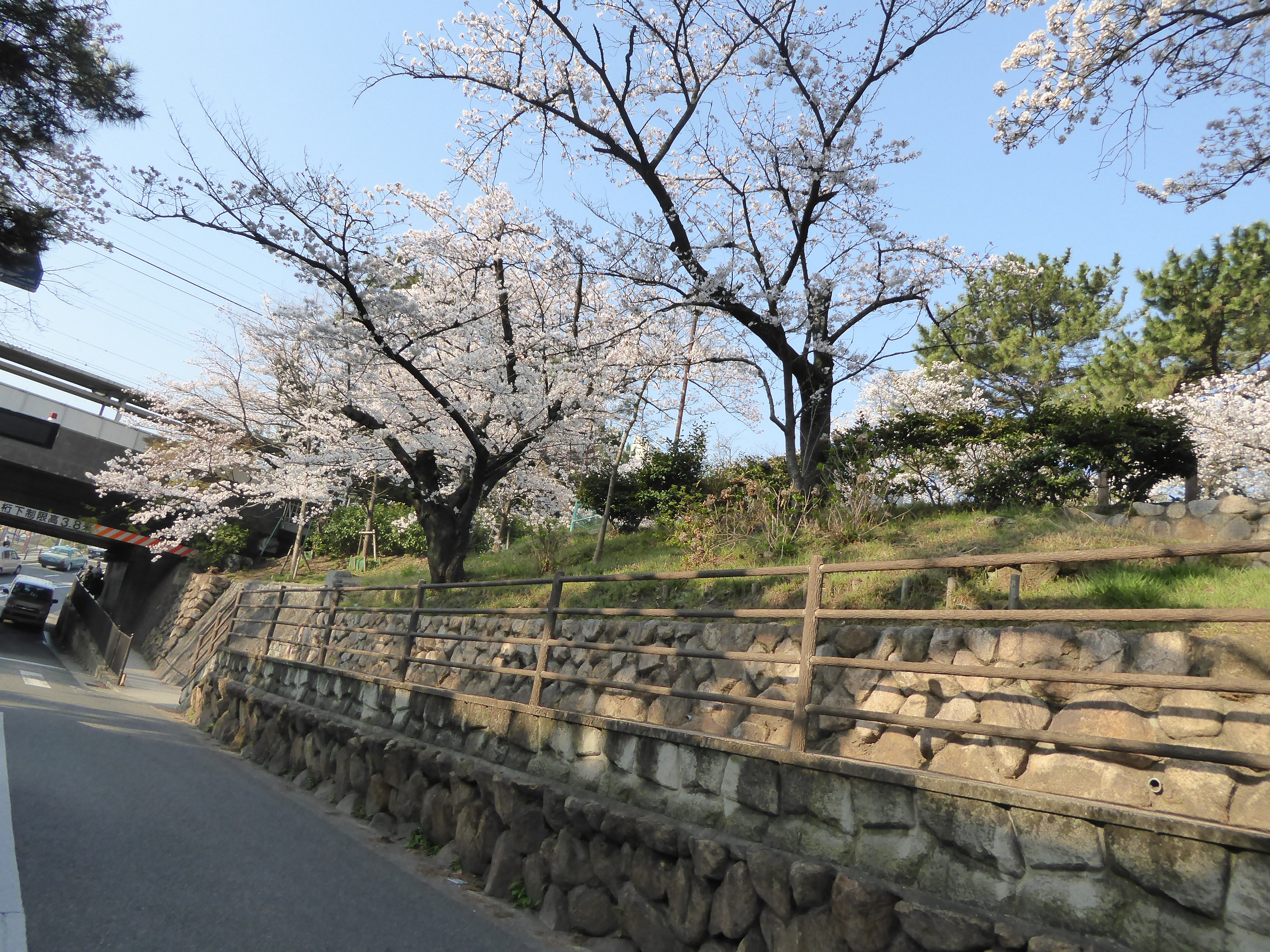 P1110201.JPG