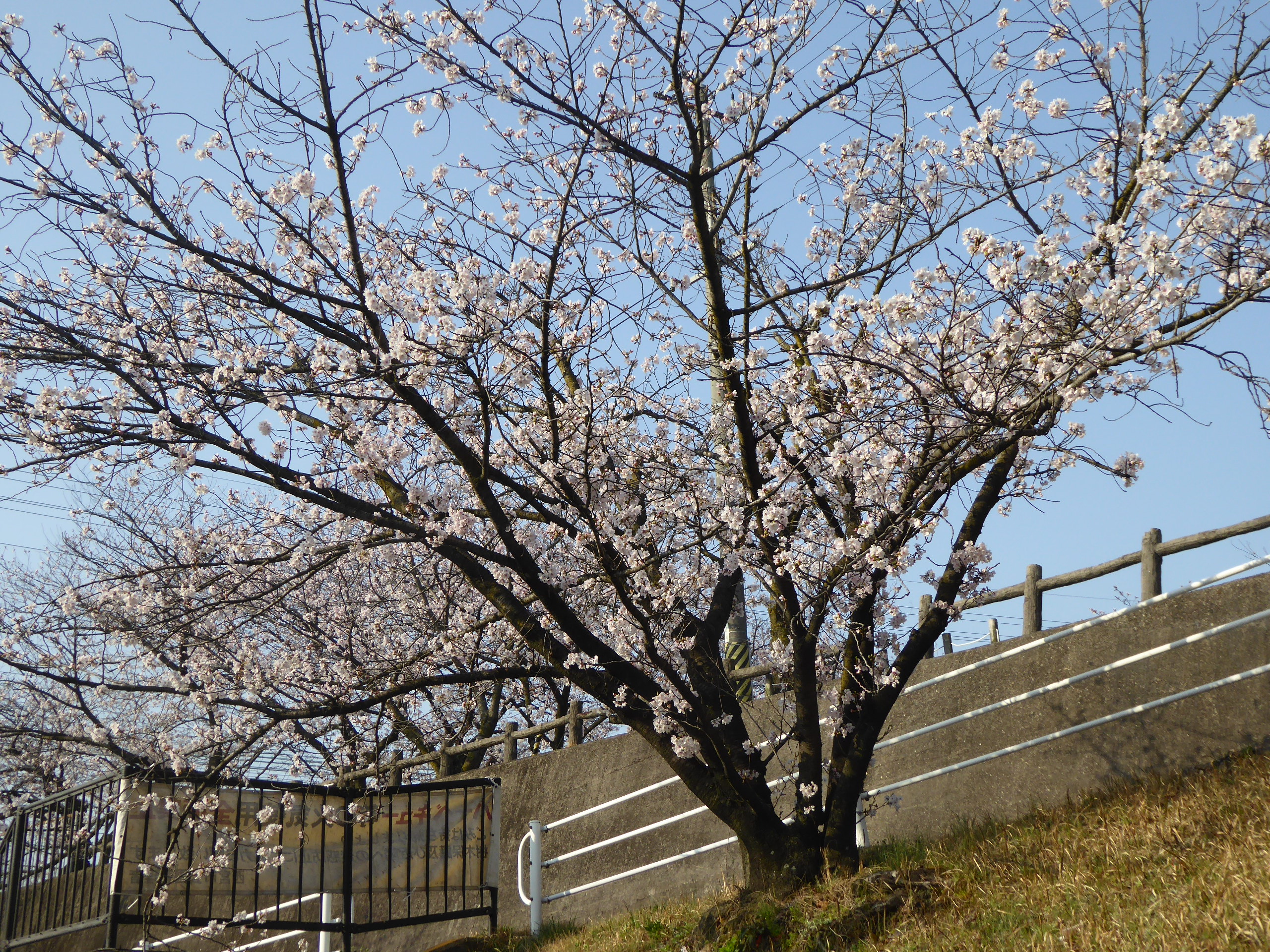 P1110204.JPG