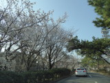 img0000.jpg